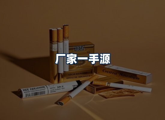 专业团队办公环境